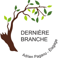 Dernière Branche élagage